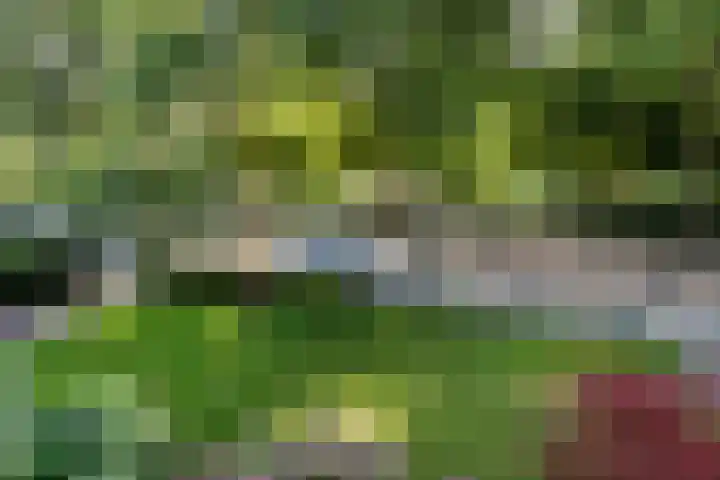 Burchtplein 20 Wassenaar thumbnail 4