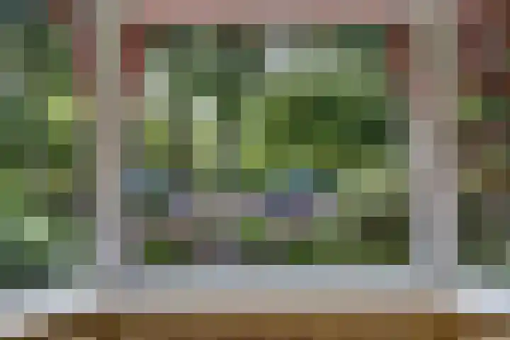 Burchtplein 20 Wassenaar thumbnail 9