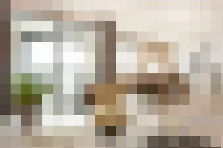 Burchtplein 44 Vleuten thumbnail 8