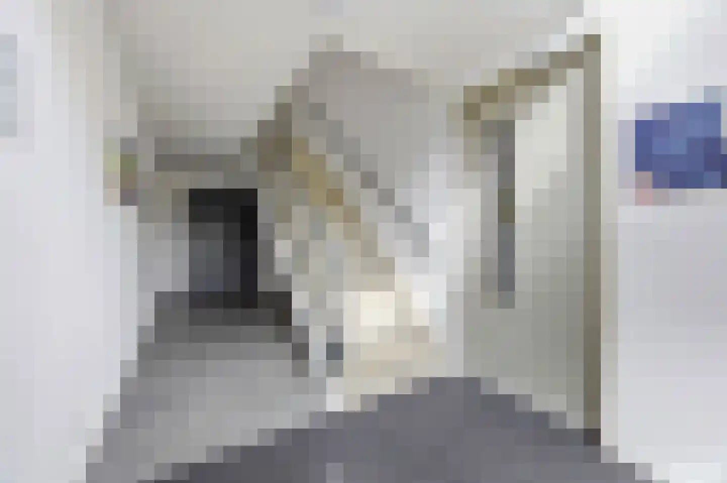 Burchtplein 5 Geertruidenberg thumbnail 8