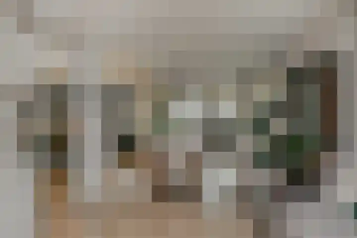 Burchtpoort 32 Vleuten thumbnail 10
