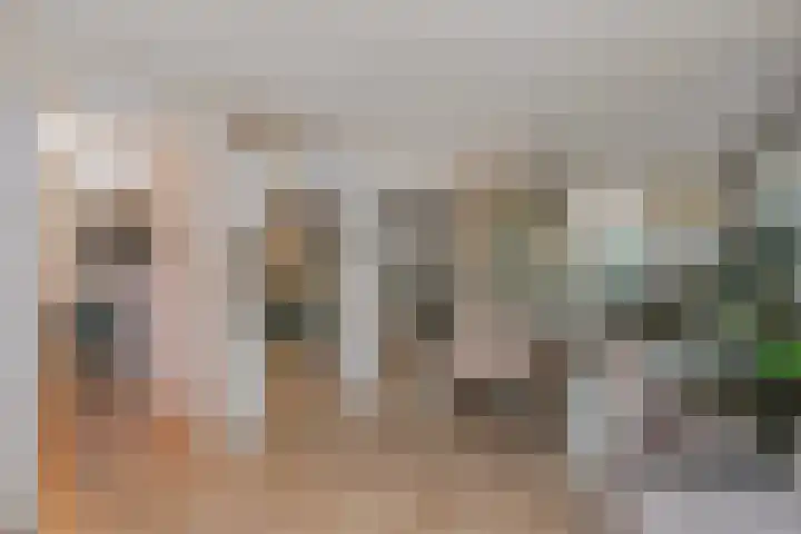 Burchtpoort 32 Vleuten thumbnail 11
