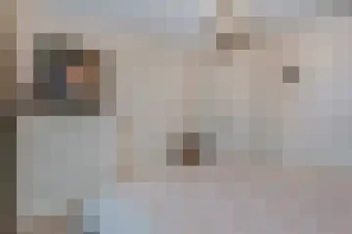 Burchtpoort 32 Vleuten thumbnail 18