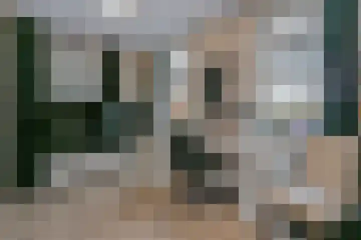 Burchtpoort 32 Vleuten thumbnail 20