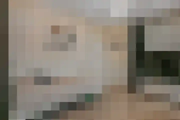 Burchtpoort 32 Vleuten thumbnail 21
