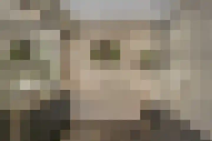 Burchtpoort 32 Vleuten thumbnail 22