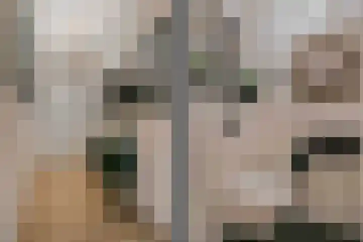 Burchtpoort 32 Vleuten thumbnail 25