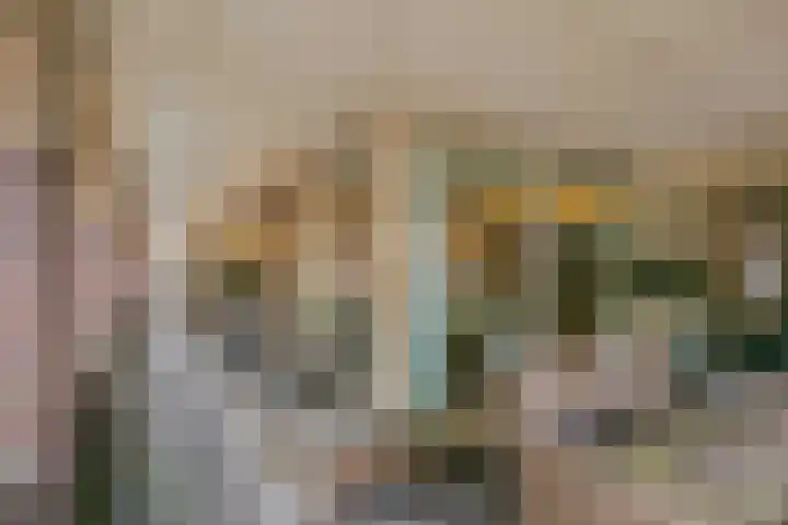Burchtpoort 32 Vleuten thumbnail 33