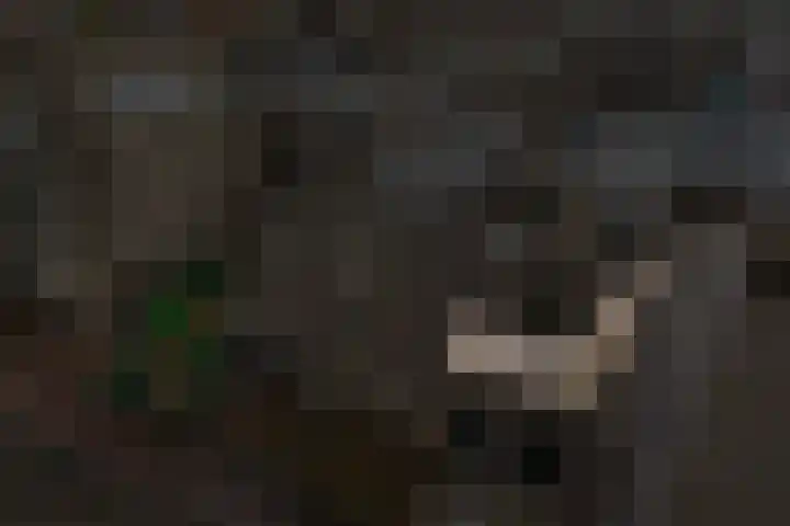 Burchtpoort 32 Vleuten thumbnail 37