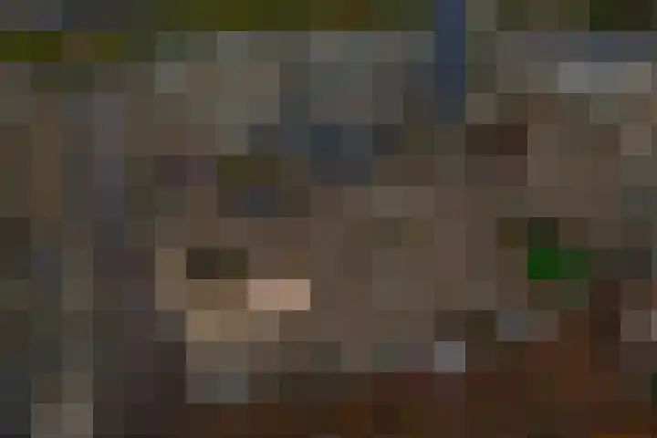 Burchtpoort 32 Vleuten thumbnail 38