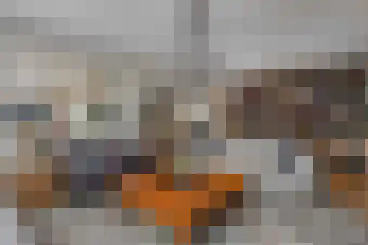 Burchtpoort 32 Vleuten thumbnail 4