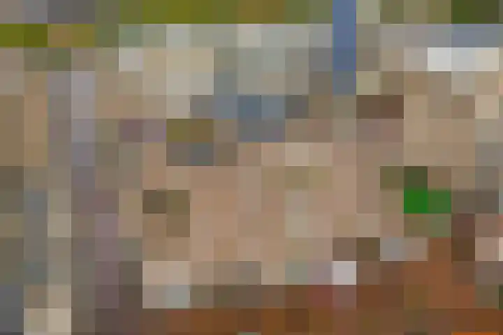 Burchtpoort 32 Vleuten thumbnail 41