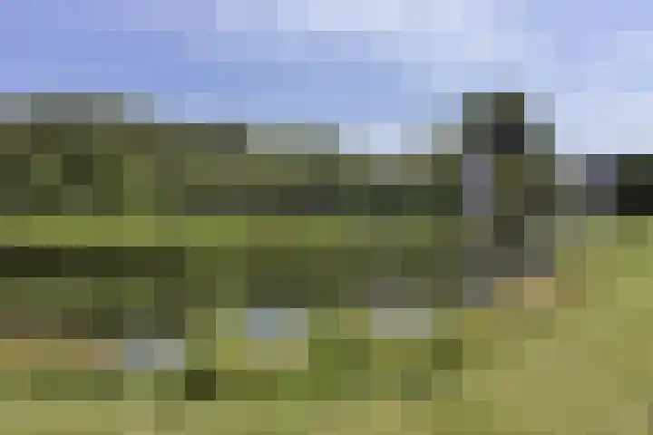 Burchtpoort 32 Vleuten thumbnail 47
