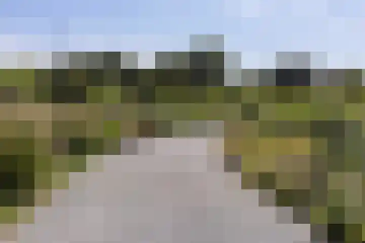 Burchtpoort 32 Vleuten thumbnail 49