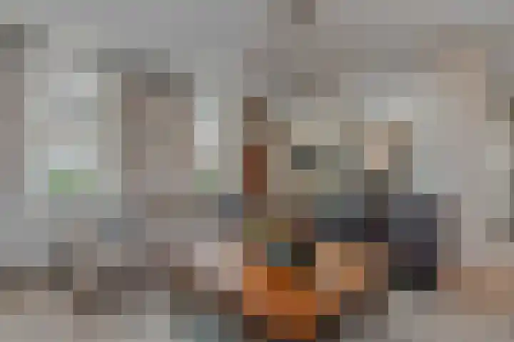 Burchtpoort 32 Vleuten thumbnail 5