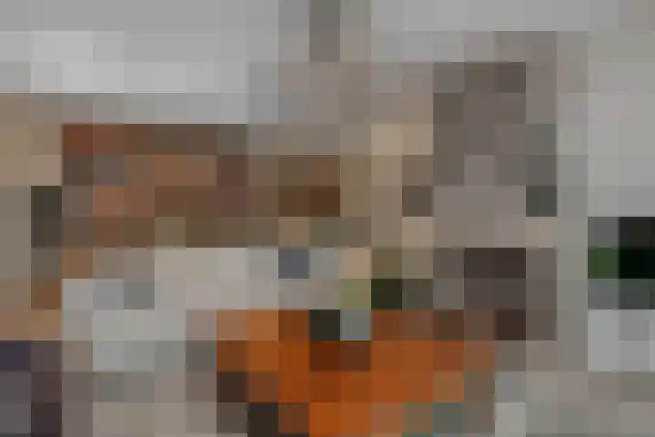 Burchtpoort 32 Vleuten thumbnail 6