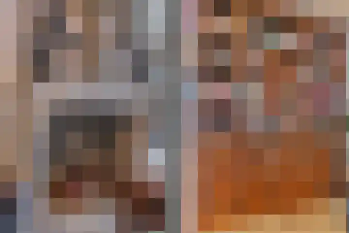 Burchtpoort 32 Vleuten thumbnail 8