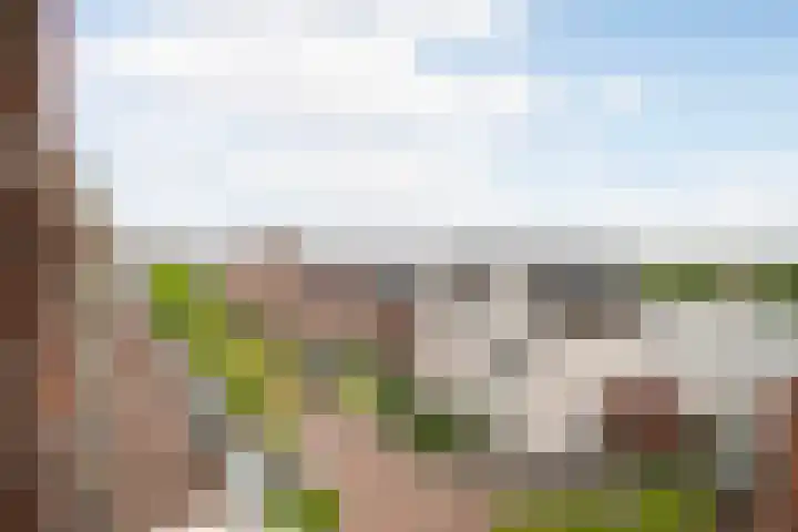 Burchtpromenade 36 Vleuten thumbnail 20