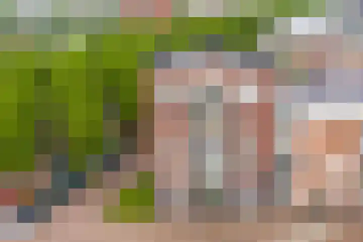 Burchtpromenade 36 Vleuten thumbnail 23