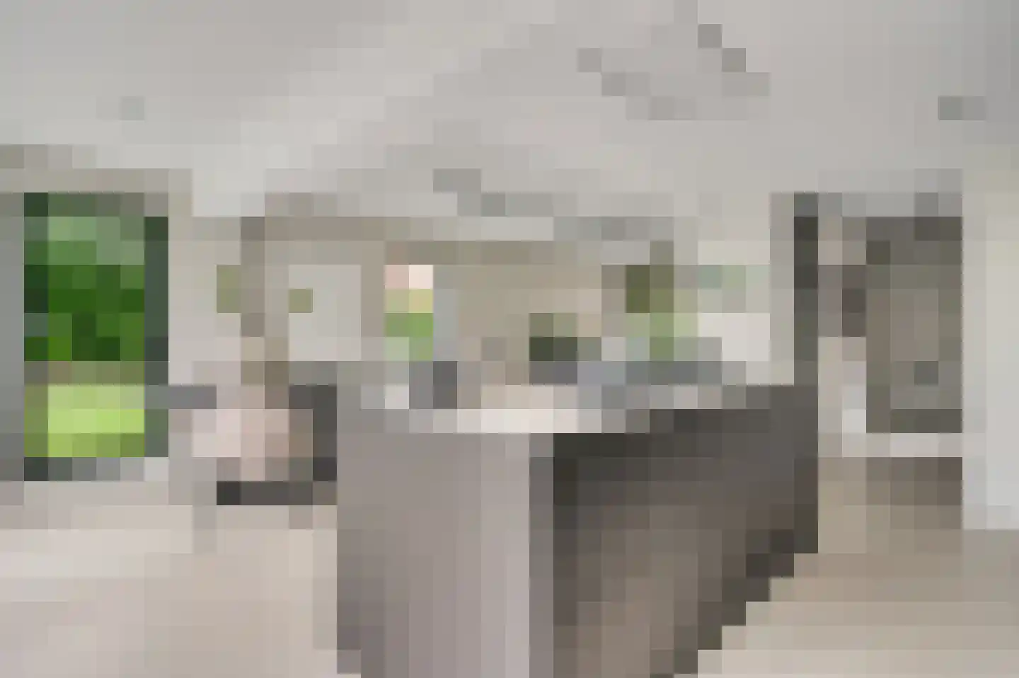 Burchtstraat 1 Bunde thumbnail 10