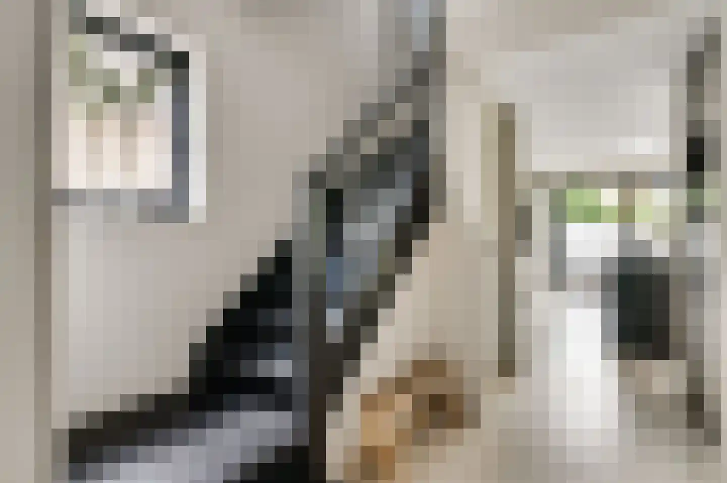 Burchtstraat 1 Bunde thumbnail 13