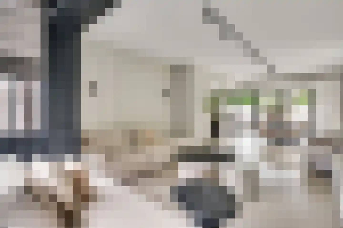 Burchtstraat 1 Bunde thumbnail 7
