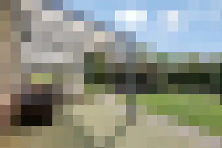 Burchtstraat 1 Herpen thumbnail 27