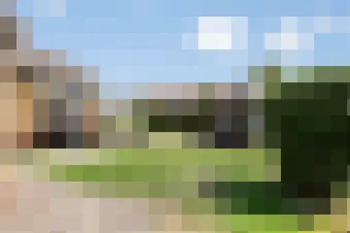 Burchtstraat 1 Herpen thumbnail 28