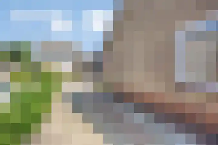 Burchtstraat 1 Herpen thumbnail 32
