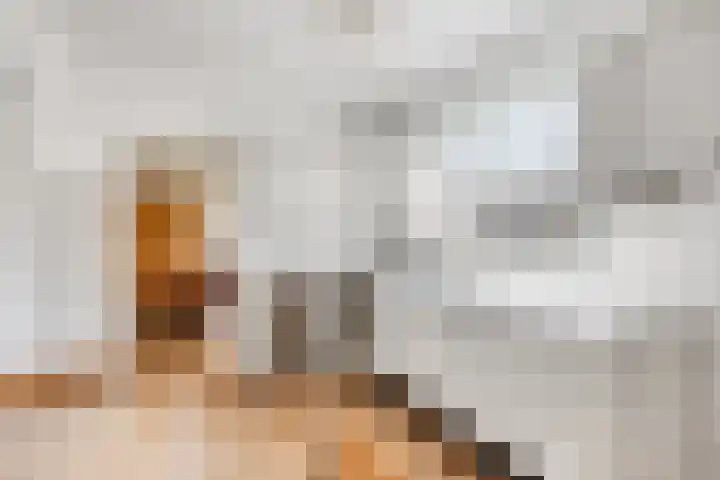 Burchtstraat 1 Herpen thumbnail 7