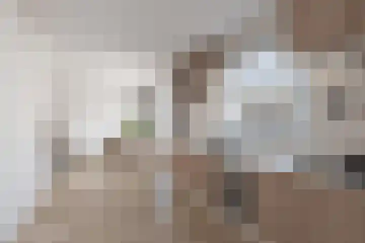 Burchtstraat 1 Herpen thumbnail 8