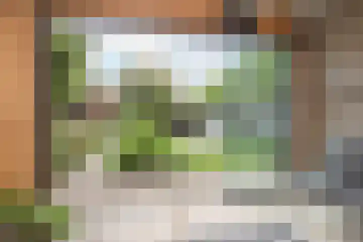Burchtstraat 10 Herpen thumbnail 10