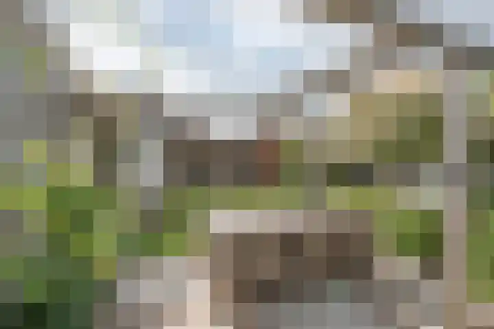 Burchtstraat 10 Herpen thumbnail 17