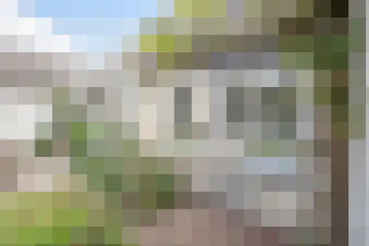 Burchtstraat 10 Herpen thumbnail 19