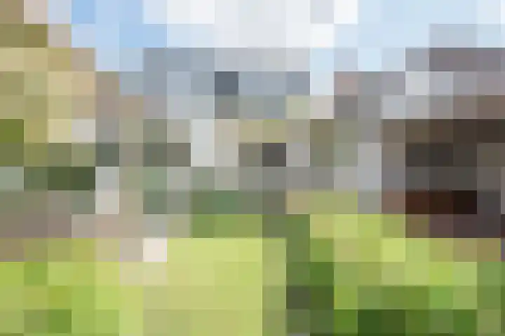 Burchtstraat 10 Herpen thumbnail 20