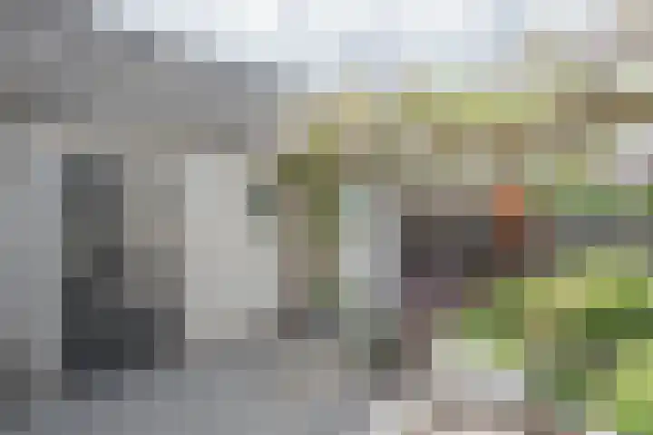 Burchtstraat 10 Herpen thumbnail 21