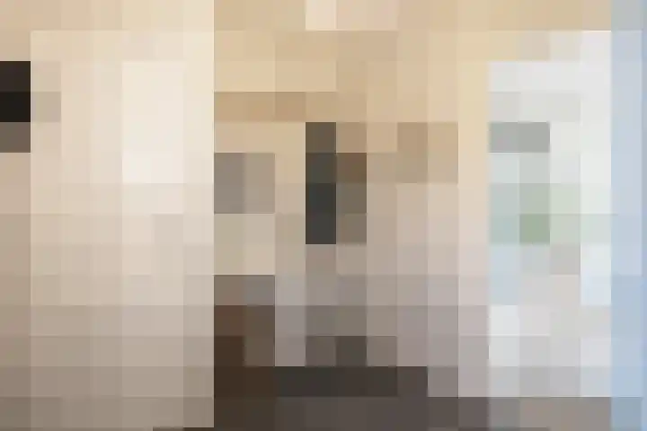 Burchtstraat 10 Herpen thumbnail 25