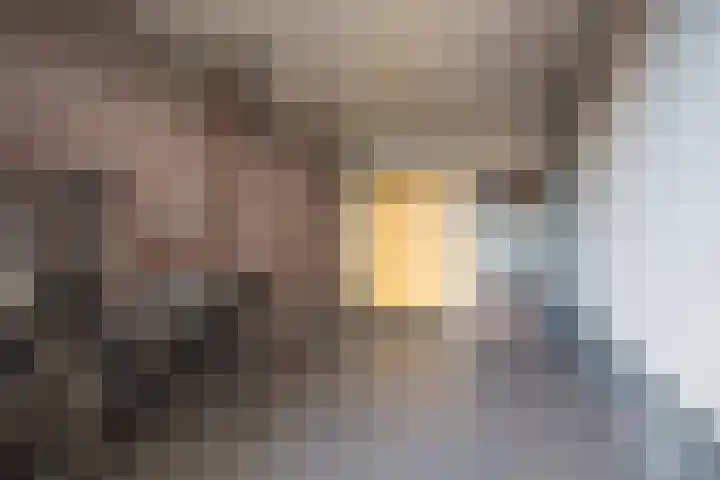 Burchtstraat 10 Herpen thumbnail 61