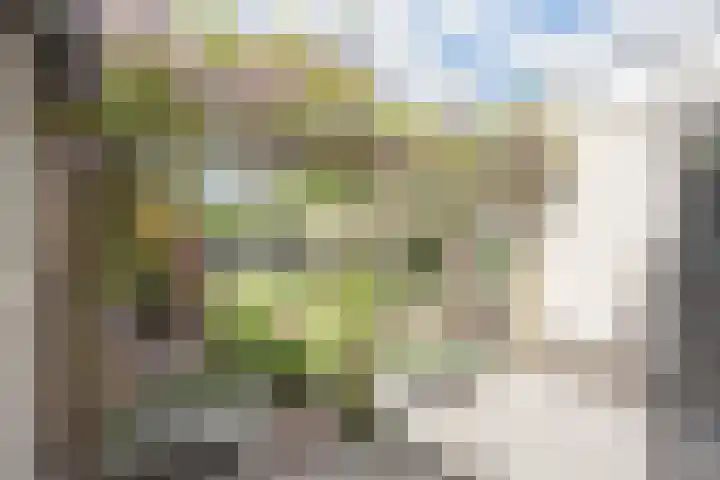Burchtstraat 10 Herpen thumbnail 7