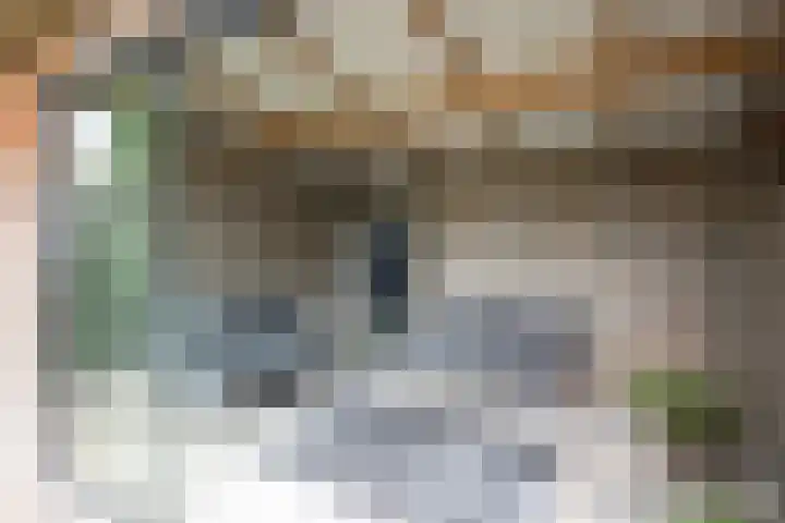 Burchtstraat 10 Herpen thumbnail 9
