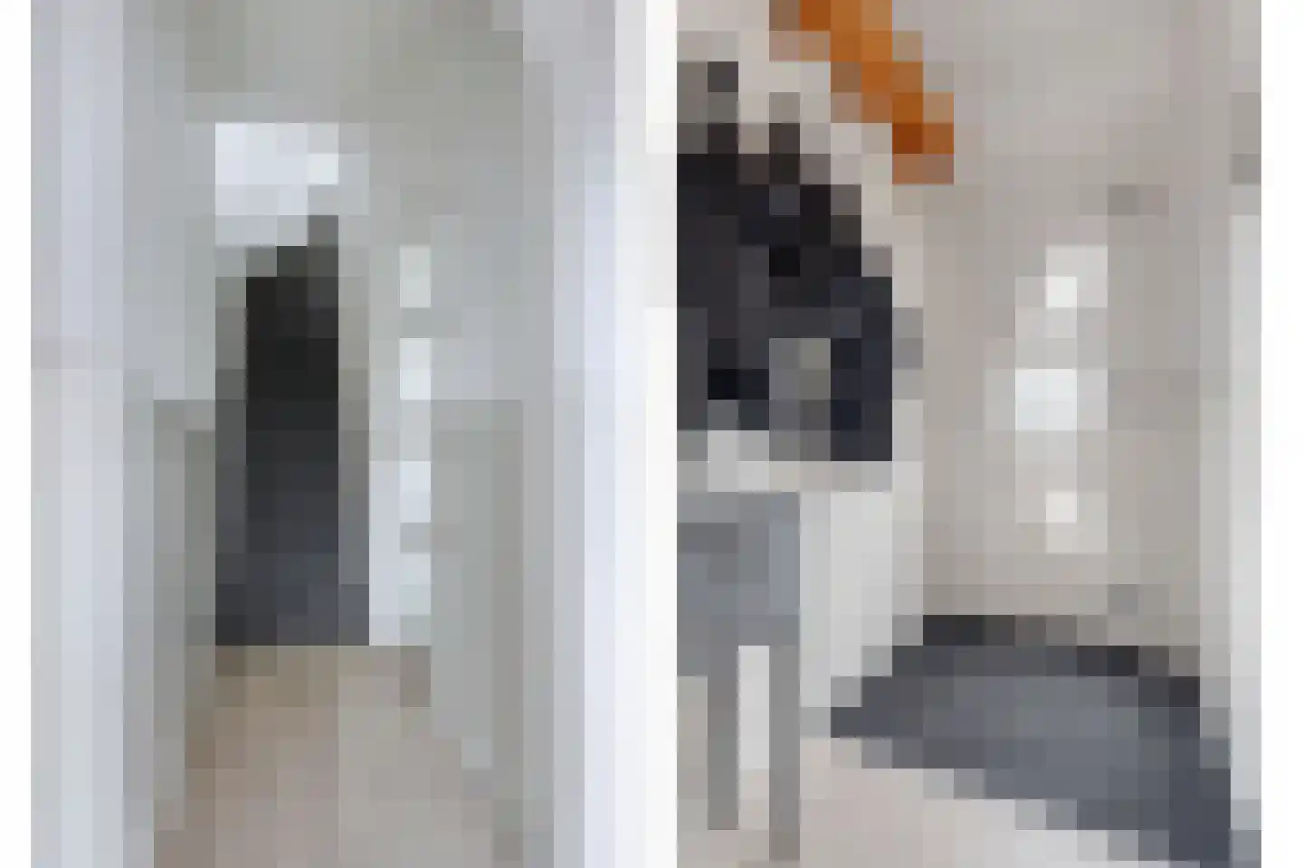 Burchtstraat 10 Tilburg thumbnail 16