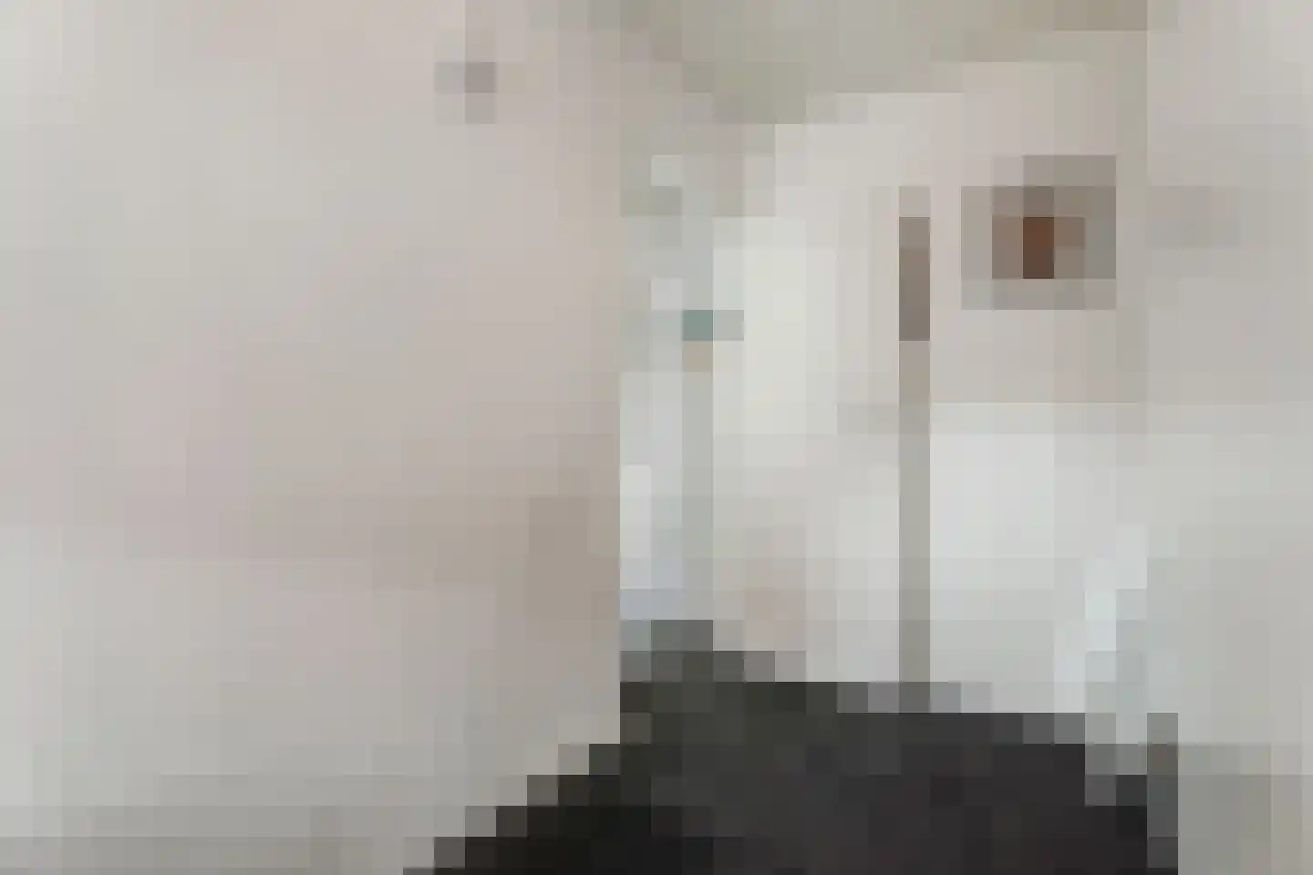 Burchtstraat 10 Tilburg thumbnail 22