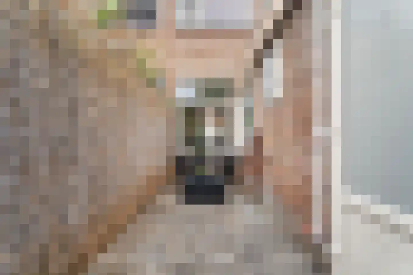 Burchtstraat 10 Tilburg thumbnail 24