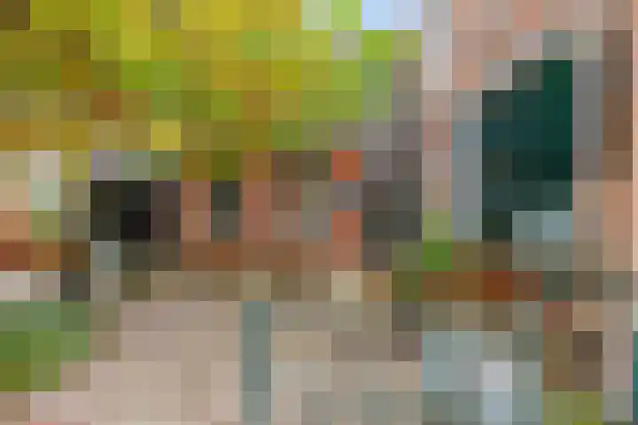 Burchtstraat 12 Middelstum thumbnail 10