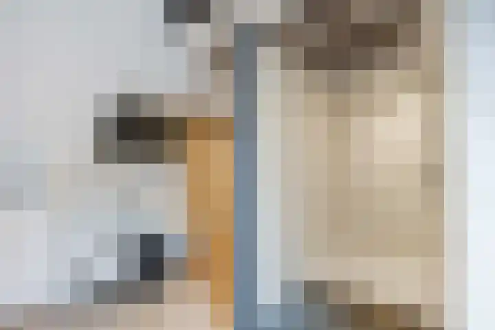 Burchtstraat 12 Middelstum thumbnail 39