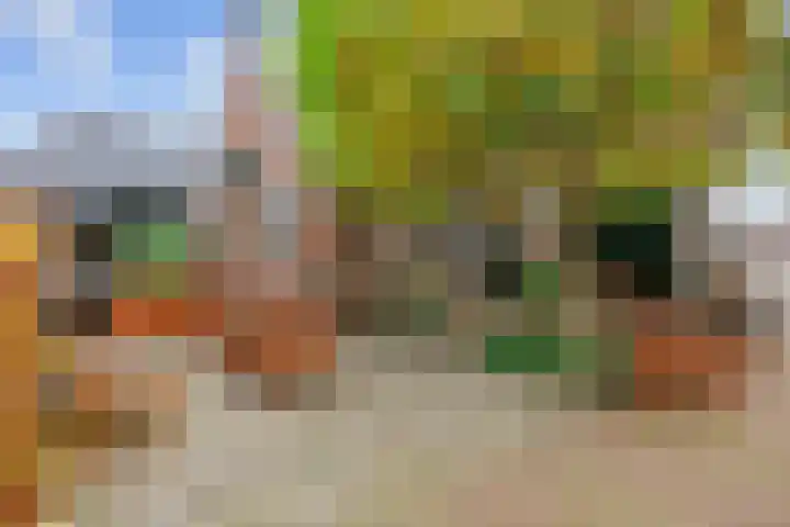Burchtstraat 12 Middelstum thumbnail 4