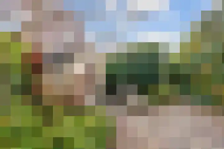 Burchtstraat 12 Middelstum thumbnail 46
