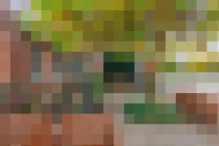 Burchtstraat 12 Middelstum thumbnail 5