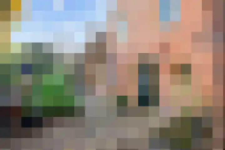 Burchtstraat 12 Middelstum thumbnail 51