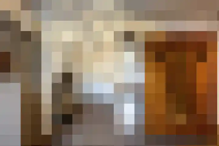 Burchtstraat 12 Middelstum thumbnail 56